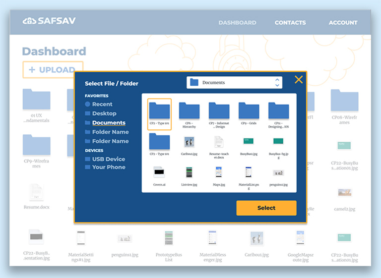 Screens of SafSav
